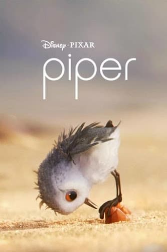 ดูหนังออนไลน์ฟรีเรื่อง Piper (2016) แอนิเมชั่นสั้น ฉายปะหน้า Finding Dory ดูหนังออนไลน์ HD พากย์ไทย HD