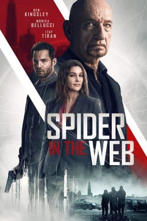 ดูหนังออนไลน์ฟรีเรื่อง Spider in the Web (2019) สไปเดอร์ อิน เดอะเว็บ ดูหนังออนไลน์ HD พากย์ไทย HD