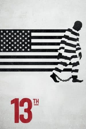 ดูหนังออนไลน์ฟรีเรื่อง 13TH | Netflix (2016) เดอะ เธอร์ทีน ดูหนังออนไลน์ HD พากย์ไทย HD