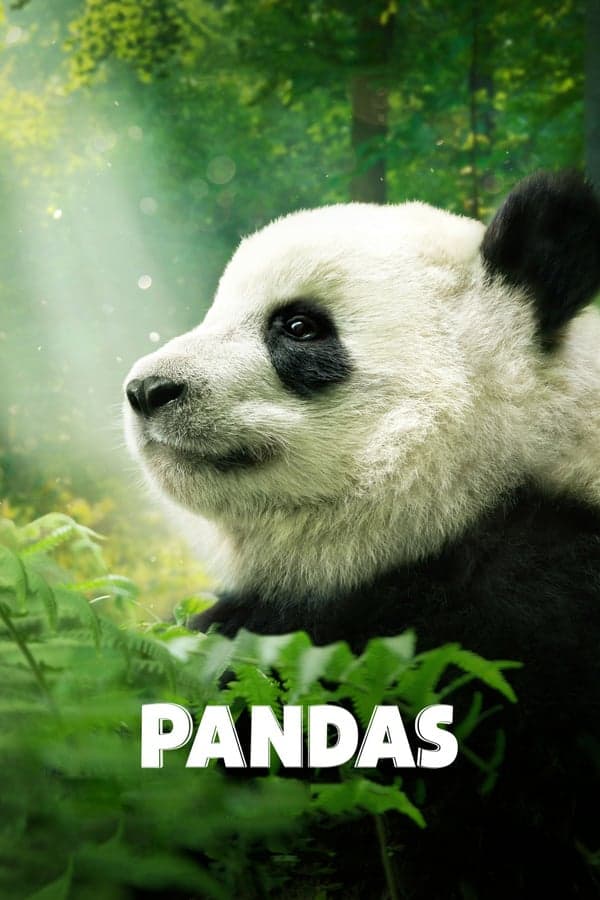 ดูหนังออนไลน์ฟรีเรื่อง Pandas (2018) สารคดีแพนด้า ดูหนังออนไลน์ HD พากย์ไทย HD