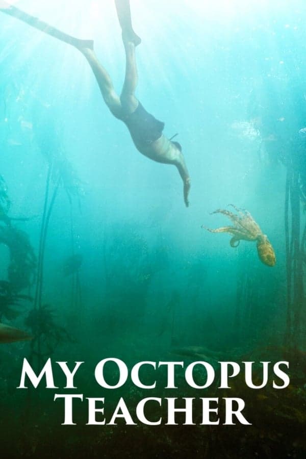 ดูหนังออนไลน์ฟรีเรื่อง My Octopus Teacher | Netflix (2020) บทเรียนจากปลาหมึก ดูหนังออนไลน์ HD พากย์ไทย HD