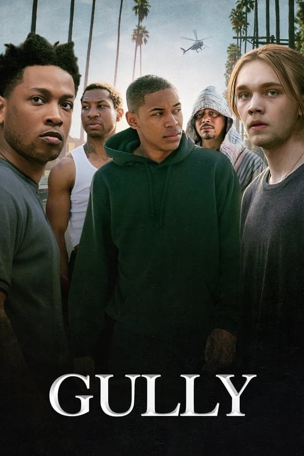 ดูหนังออนไลน์ฟรีเรื่อง Gully (2019) กัลลี่ ดูหนังออนไลน์ HD พากย์ไทย HD