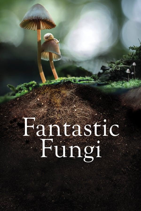 ดูหนังออนไลน์ฟรีเรื่อง Fantastic Fungi (2019) เห็ดมหัศจรรย์ ดูหนังออนไลน์ HD พากย์ไทย HD