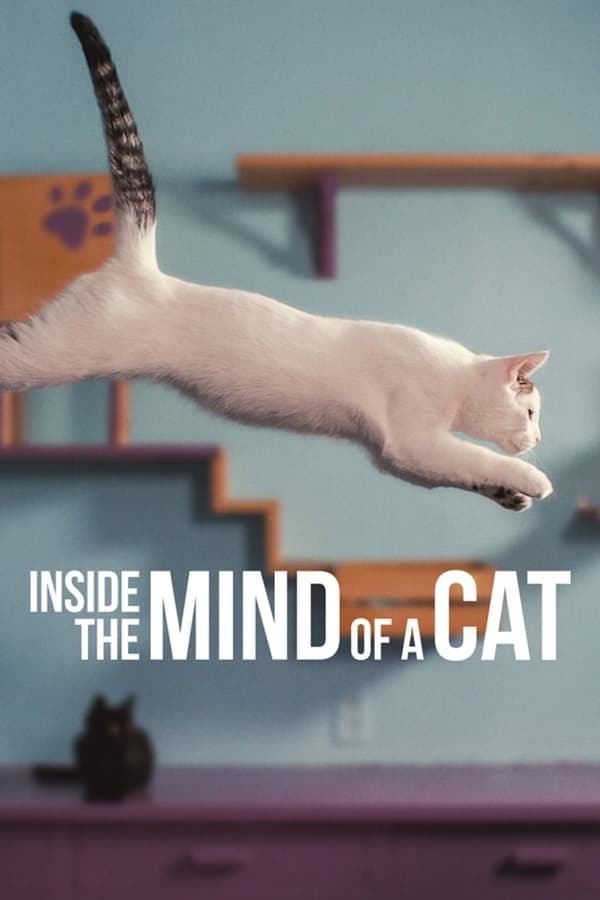 ดูหนังออนไลน์ฟรีเรื่อง Inside the Mind of a Cat (2022) คิดแบบแมวๆ ดูหนังออนไลน์ HD พากย์ไทย HD