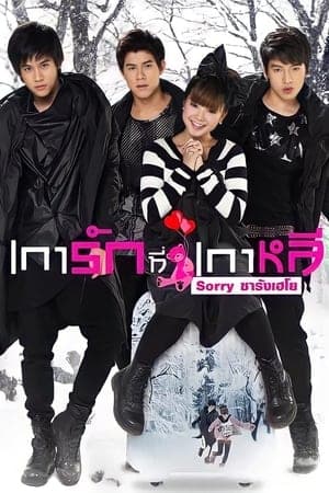 ดู Sorry Saranghaeyo (2010) เการัก ที่เกาหลี Sorry ซารังเฮโย HD ออนไลน์ฟรี