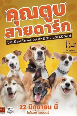 ดูหนังออนไลน์ฟรีเรื่อง คุณตูบสายดาร์ก ปิดเมืองกัด (2023) Darkdog Lockdown ดูหนังออนไลน์ HD พากย์ไทย HD