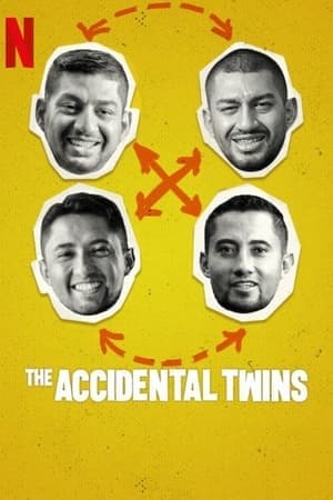 ดูหนังออนไลน์ฟรีเรื่อง The Accidental Twins (2024) ฝาแฝดบังเอิญ ดูหนังออนไลน์ HD พากย์ไทย HD