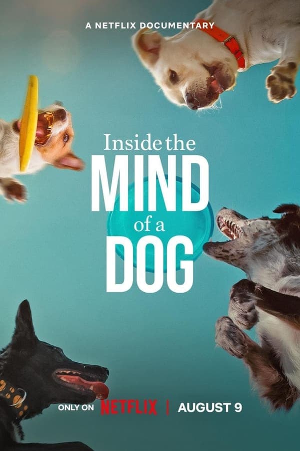 ดูหนังออนไลน์ฟรีเรื่อง Inside the Mind of a Dog (2024) อ่านใจสุนัข ดูหนังออนไลน์ HD พากย์ไทย HD