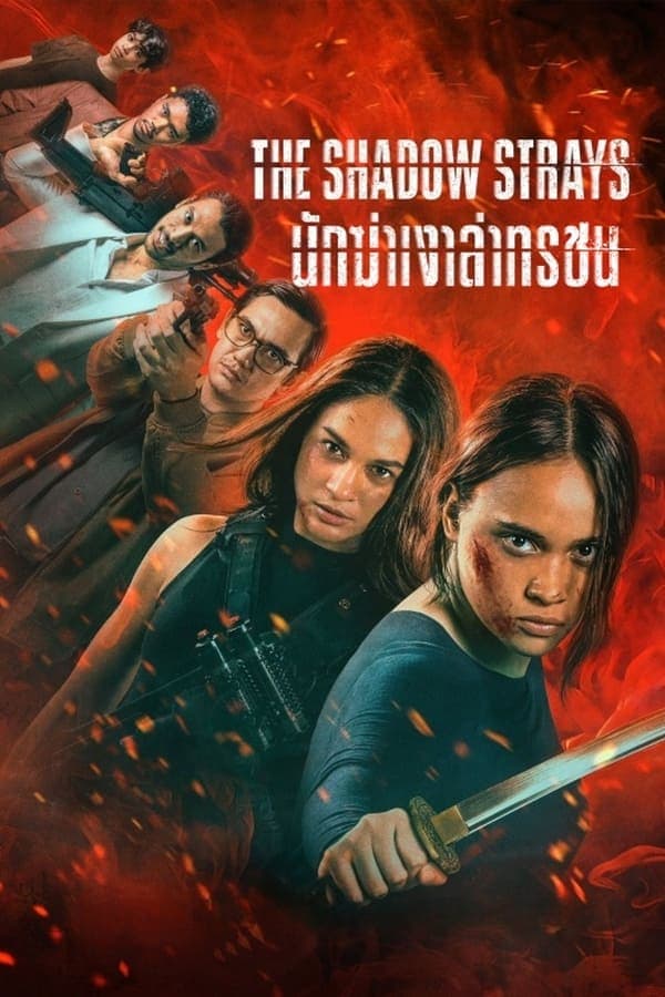 ดูหนังออนไลน์ฟรีเรื่อง The Shadow Strays (2024) นักฆ่าเงาล่าทรชน ดูหนังออนไลน์ HD พากย์ไทย HD