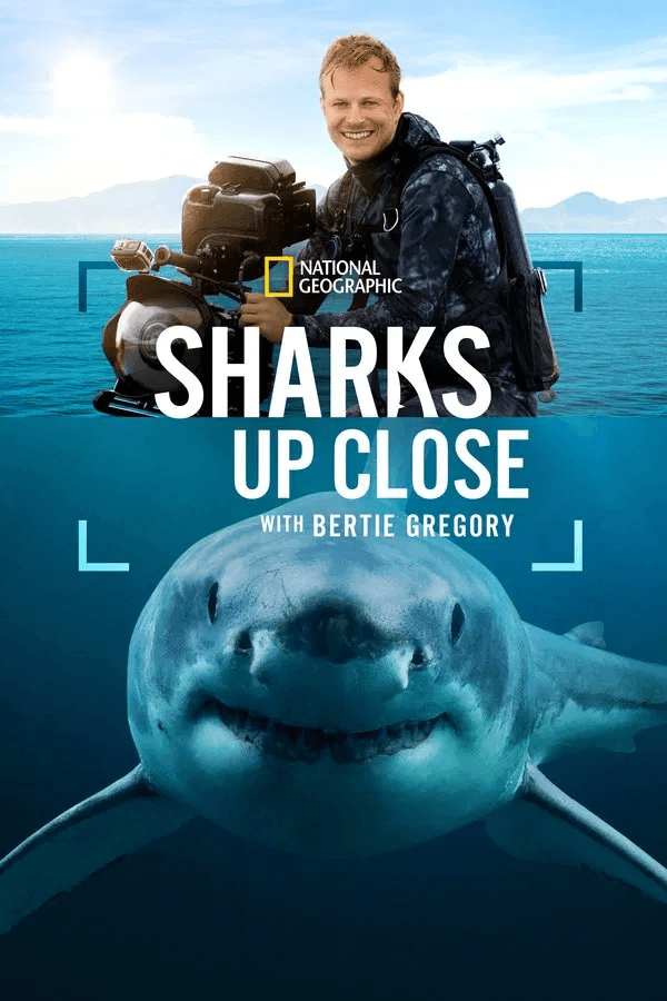 ดูหนังออนไลน์ฟรีเรื่อง Sharks Up Close with Bertie Gregory (2025) ดูหนังออนไลน์ HD พากย์ไทย HD