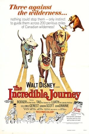 ดูหนังออนไลน์ฟรีเรื่อง The Incredible Journey (1963) ดูหนังออนไลน์ HD พากย์ไทย HD