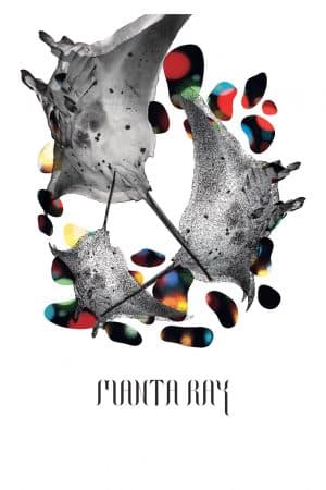 ดูหนังออนไลน์ฟรีเรื่อง กระเบนราหู Manta Ray (2018) ดูหนังออนไลน์ HD พากย์ไทย HD