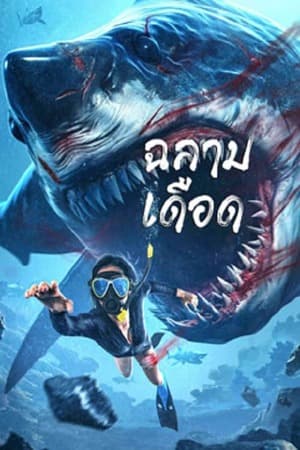 ดูหนังออนไลน์ฟรีเรื่อง Shark Evil (2023) ฉลามเดือด ดูหนังออนไลน์ HD พากย์ไทย HD