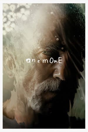 ดูหนังปี 2025 Anemone (2025) อะนีโมนี HD