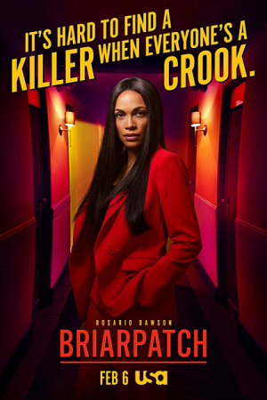 Briarpatch Season 1 (2020)