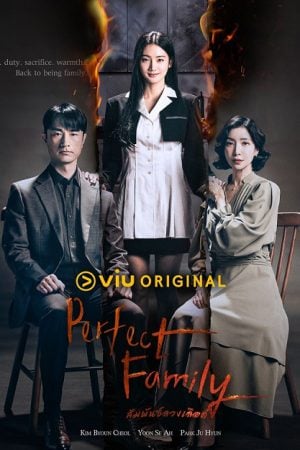 Perfect Family (2024) สัมพันธ์ลวงเลือด