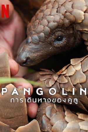 Pangolin Kulu's Journey (2025) การเดินทางของคูลู