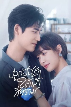 Reblooming Blue (2024) ปลูกฝันรักใต้ฟ้าสีคราม