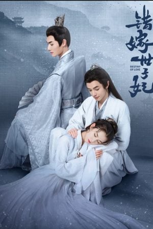 Destiny of Love (2025) รักสลับบัลลังก์