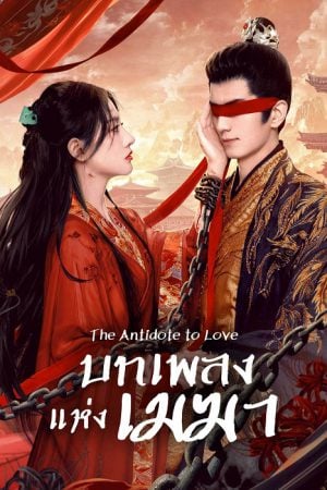 The Antidote to Love (2025) บทเพลงแห่งเมฆา