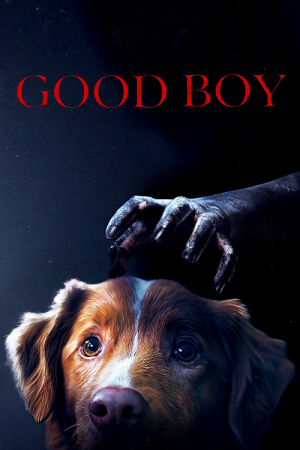 Good Boy (2025) มะหมาเห็นผี