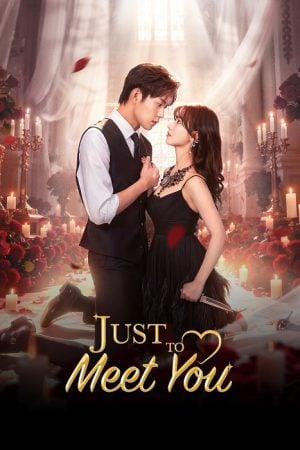 Just To Meet You (2026) บังเอิญพบก็เผลอรัก